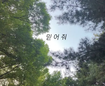 김유상