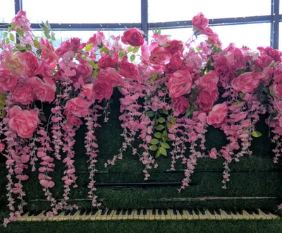 Piano People