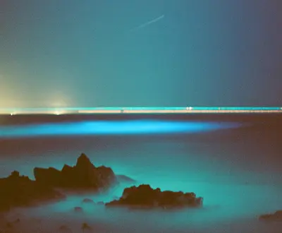 veinwave