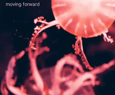 Ocean Lights