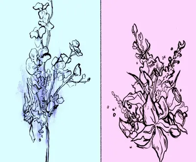 High Bloom