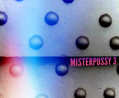 Misterpussy