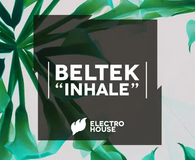 Beltek