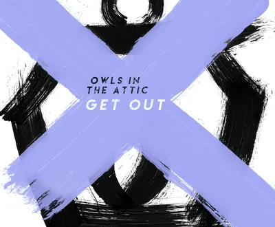 Owls in the Attic