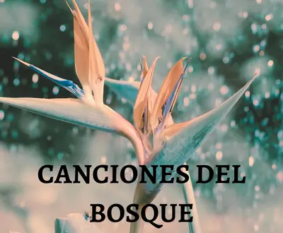Bosque Ocupado