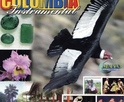 Cuerdas Colombianas