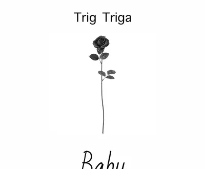 Trig Triga