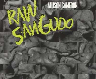 Allison Cameron