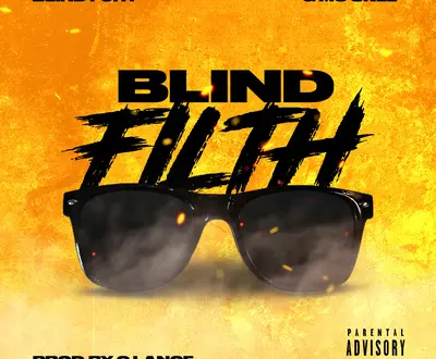 Blind Fury