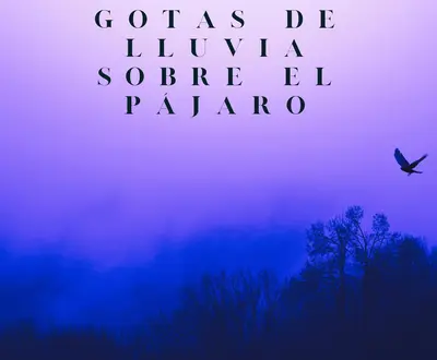Sonidos Del Bosques