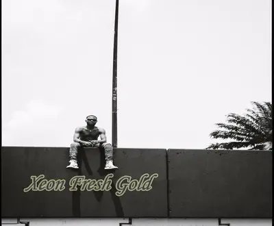 Xeon Fresh Gold