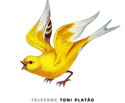 Toni Platão