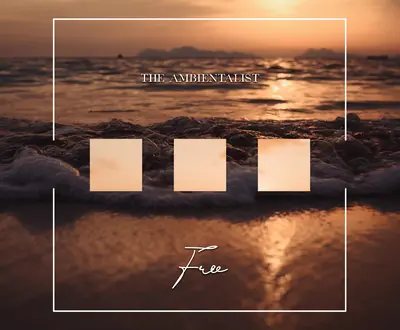 The Ambientalist