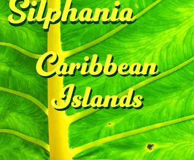 Silphania