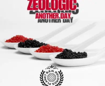 Zeo Logic