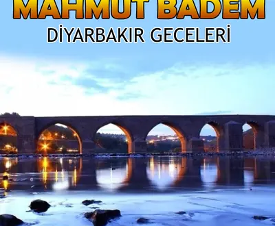 Mahmut Badem