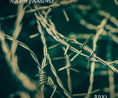 NapstaMind