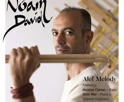 Noam David